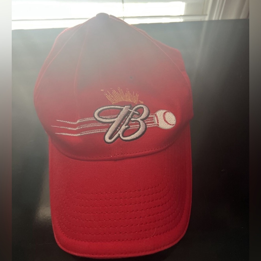 Dale Jr Budweiser Baseball Cap